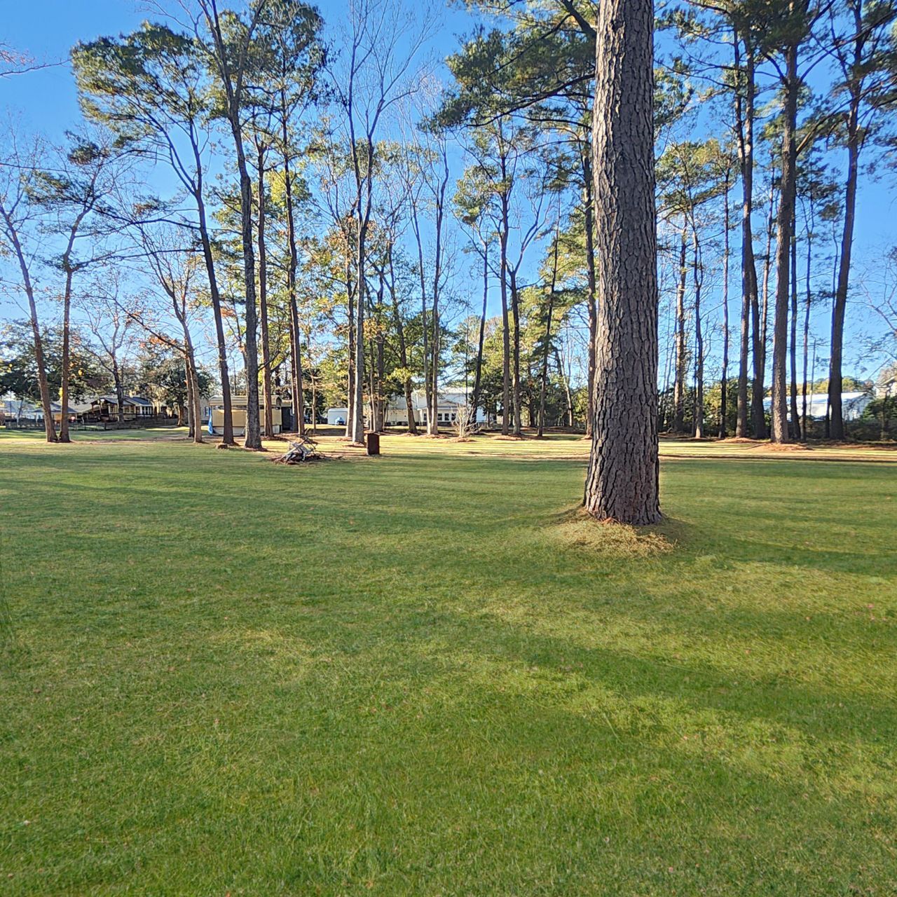 105 Jean Drive Photo 50