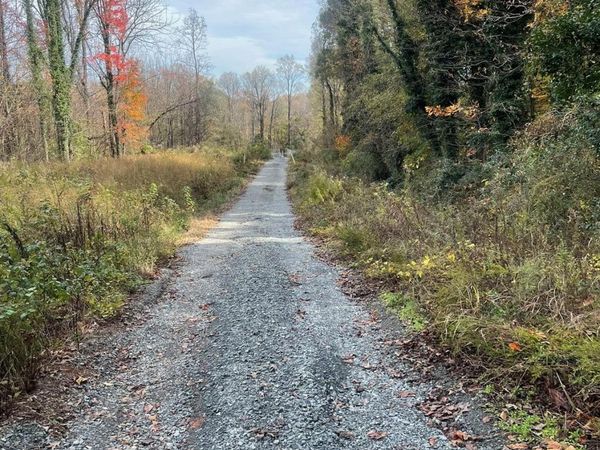 2019 C Avenue, Charlotte, NC 28216