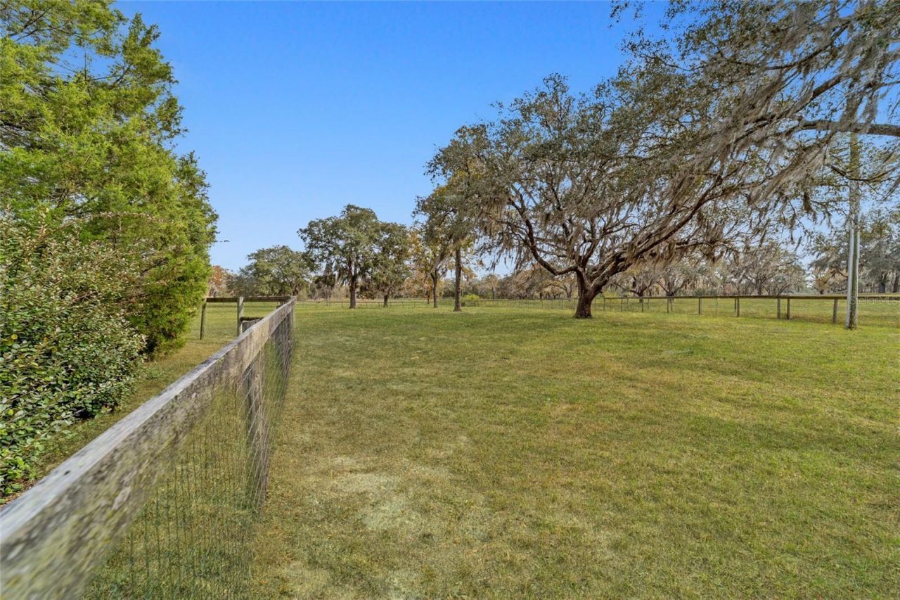 5930 W Knoxville Lane, Dunnellon, FL 34433 Photo