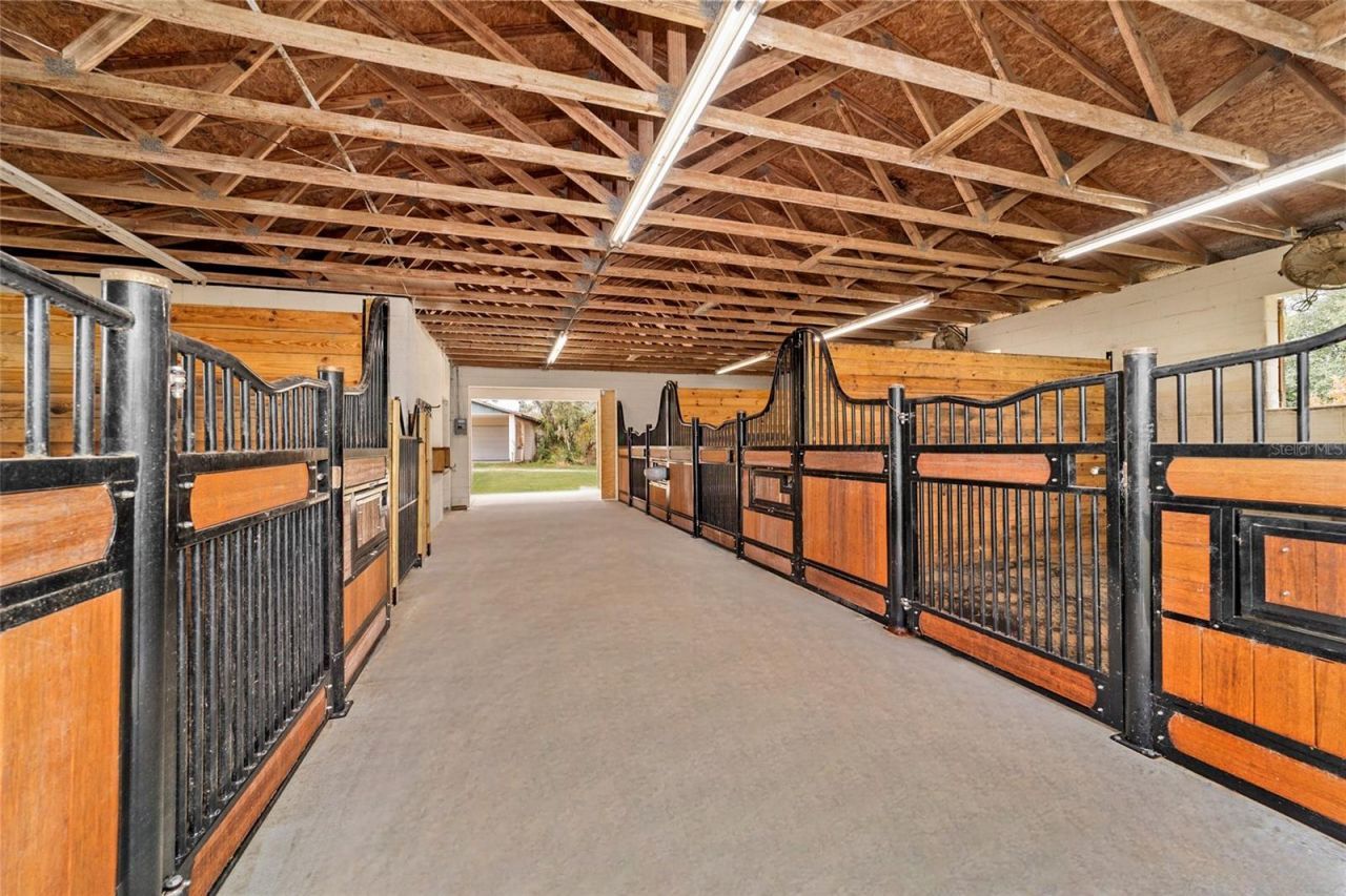 5930 W Knoxville Lane, Dunnellon, FL 34433 Photo