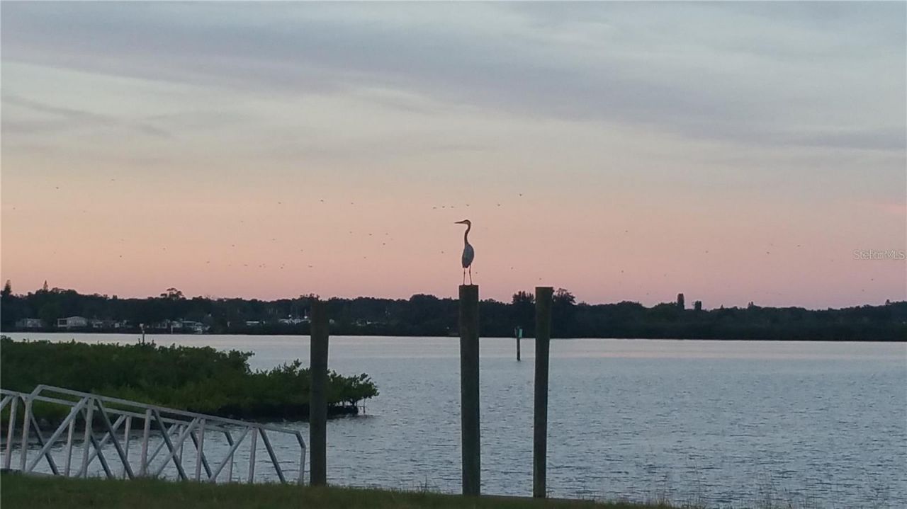 1030 Tidewater Shores Loop, Unit 401, Bradenton, FL 34208 Photo