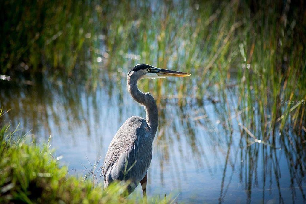 9616 Turning Leaf Terrace, Bradenton, FL 34212 Photo