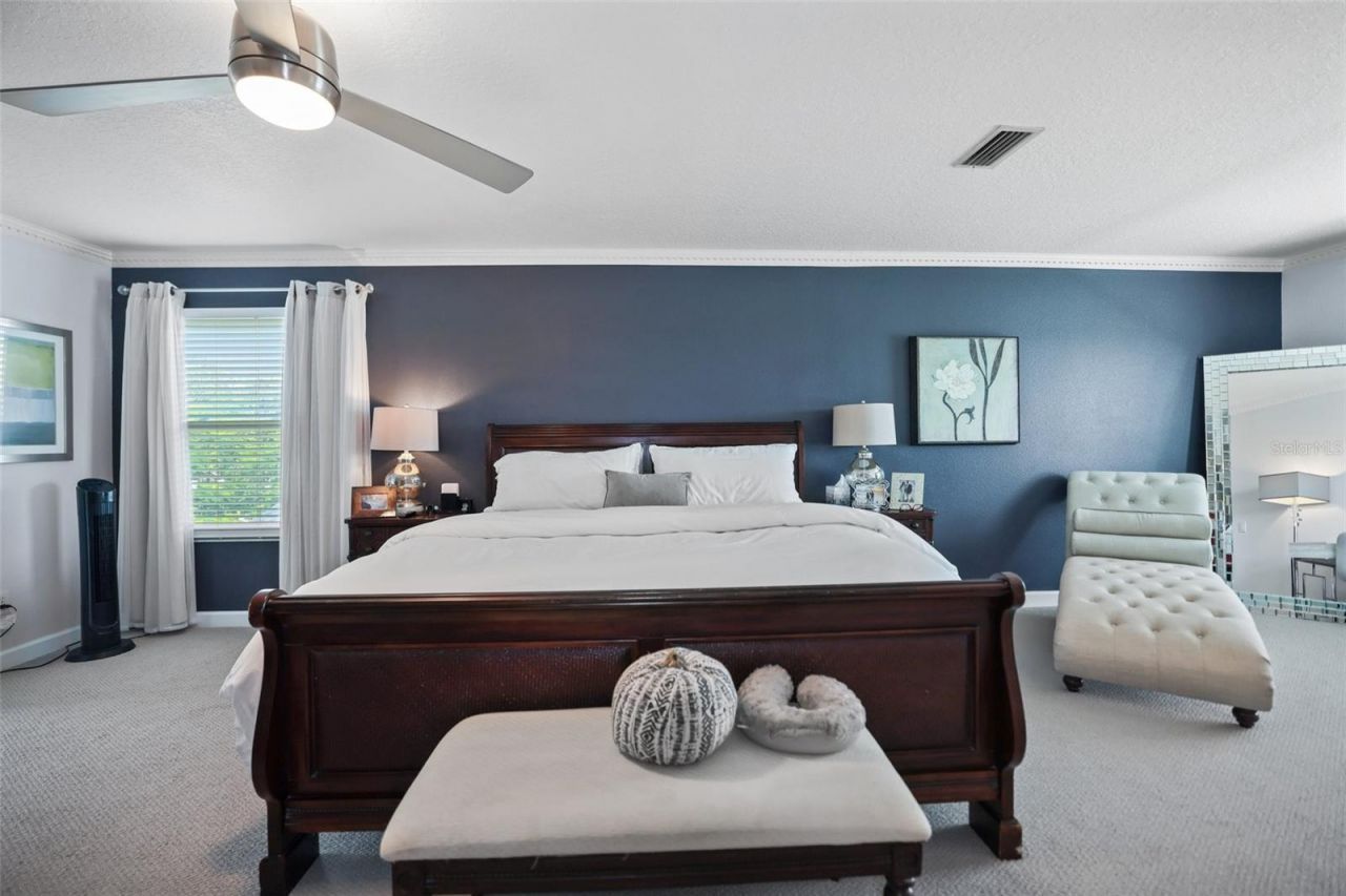 8524 Tidal Bay Lane, Tampa, FL 33635 Photo