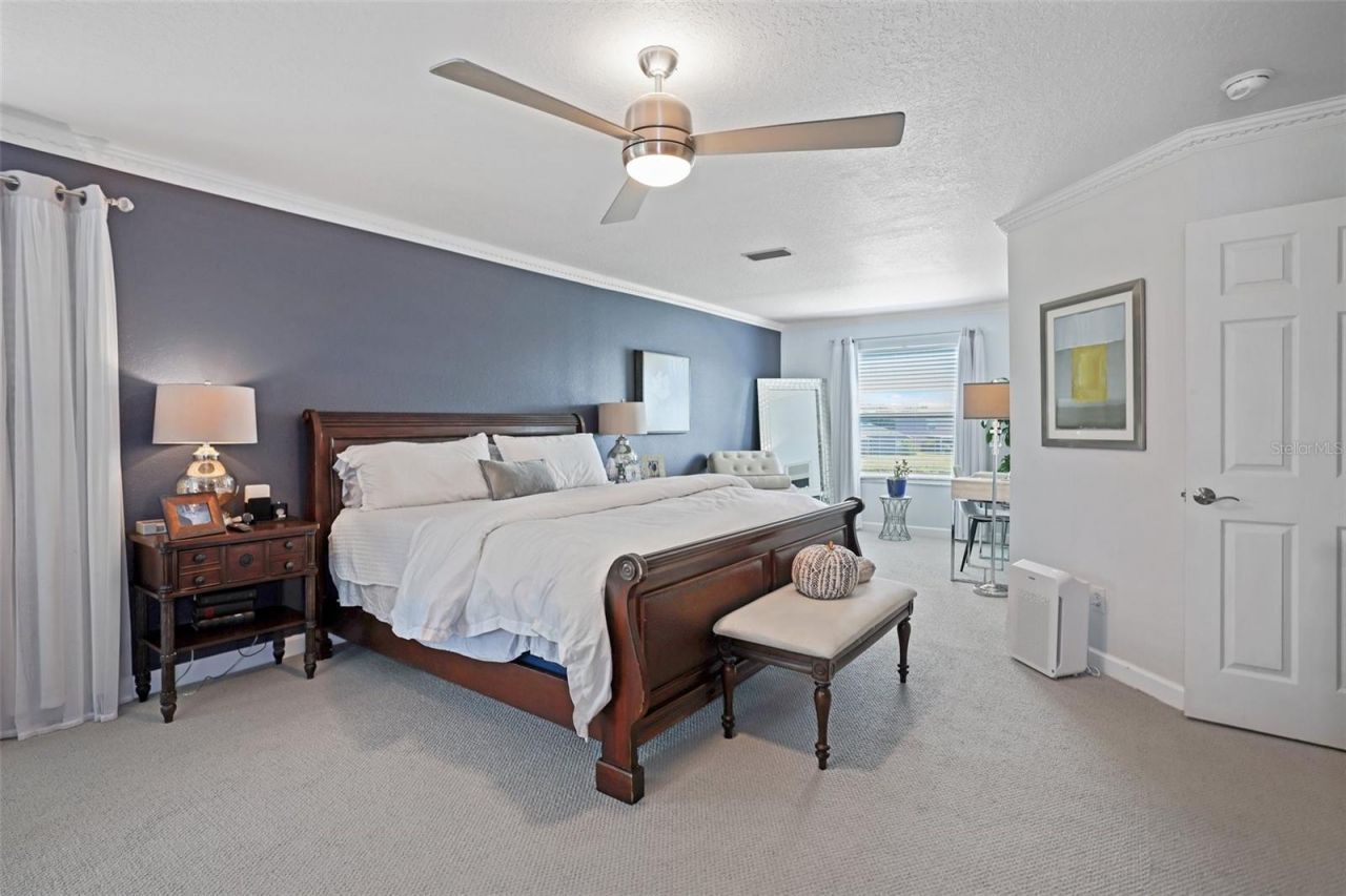 8524 Tidal Bay Lane, Tampa, FL 33635 Photo