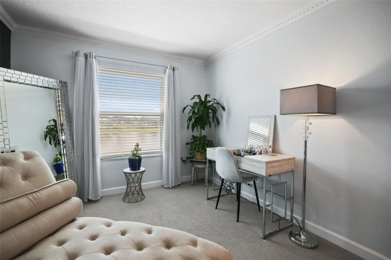 8524 Tidal Bay Lane, Tampa, FL 33635 Photo