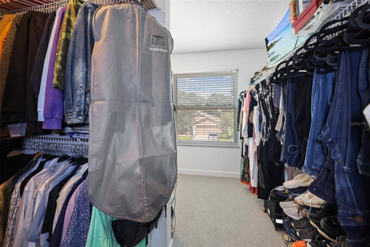 8524 Tidal Bay Lane, Tampa, FL 33635 Photo