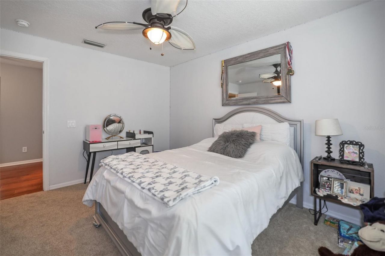 8524 Tidal Bay Lane, Tampa, FL 33635 Photo