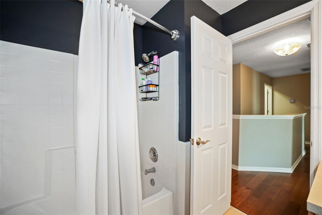 8524 Tidal Bay Lane, Tampa, FL 33635 Photo