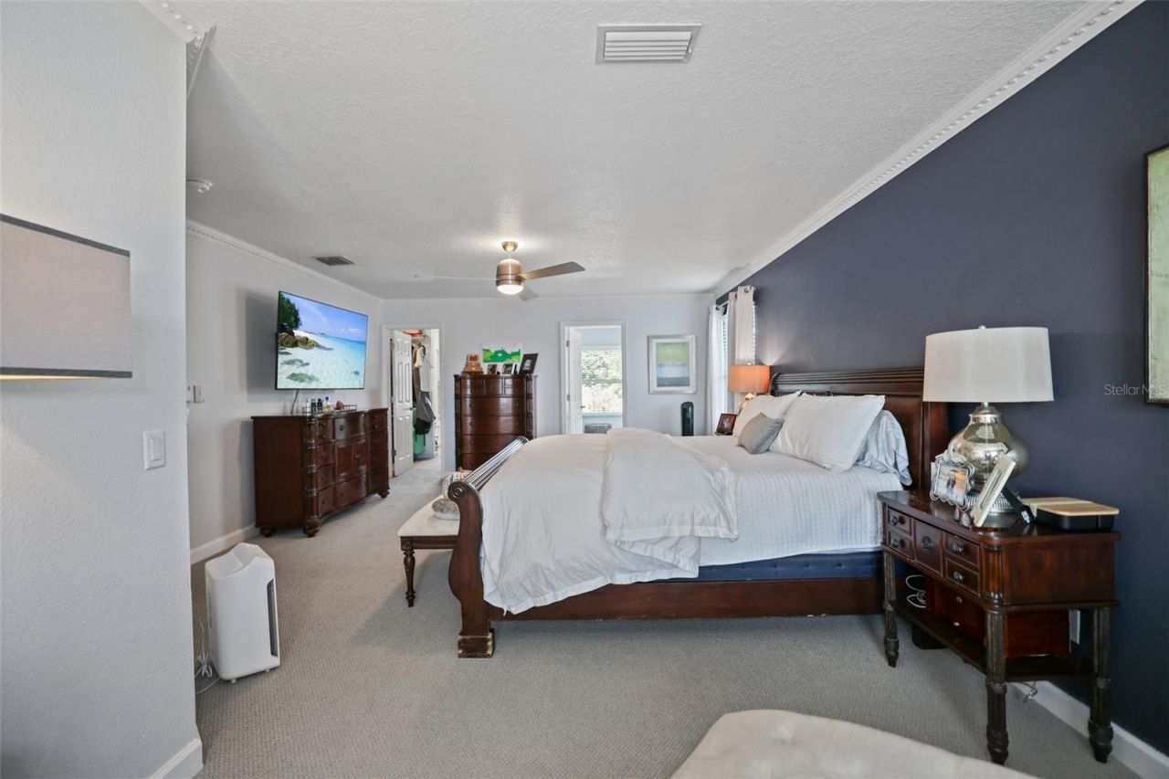 8524 Tidal Bay Lane, Tampa, FL 33635 Photo