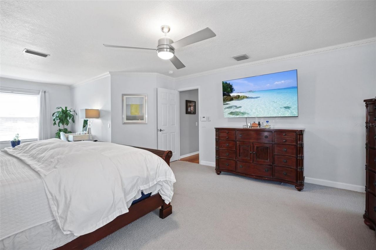 8524 Tidal Bay Lane, Tampa, FL 33635 Photo