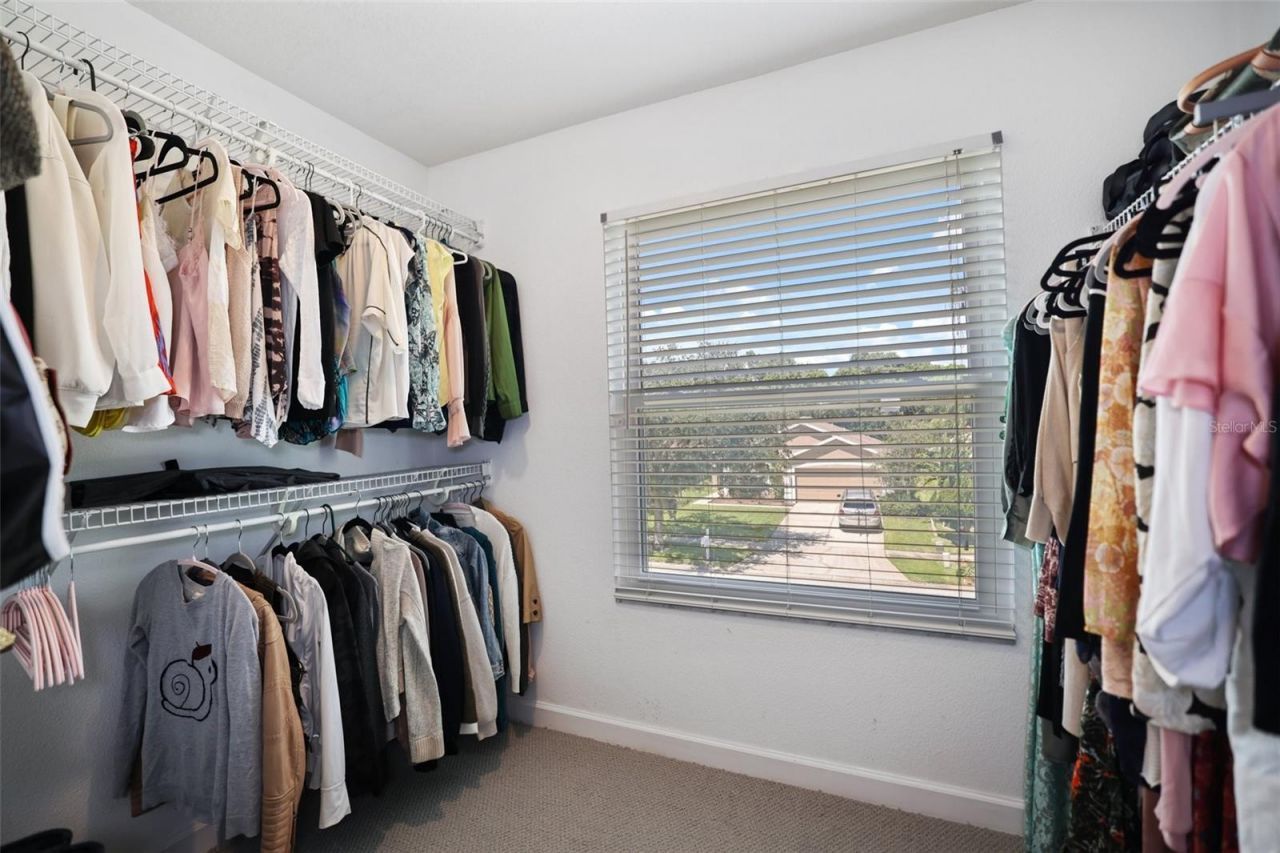 8524 Tidal Bay Lane, Tampa, FL 33635 Photo