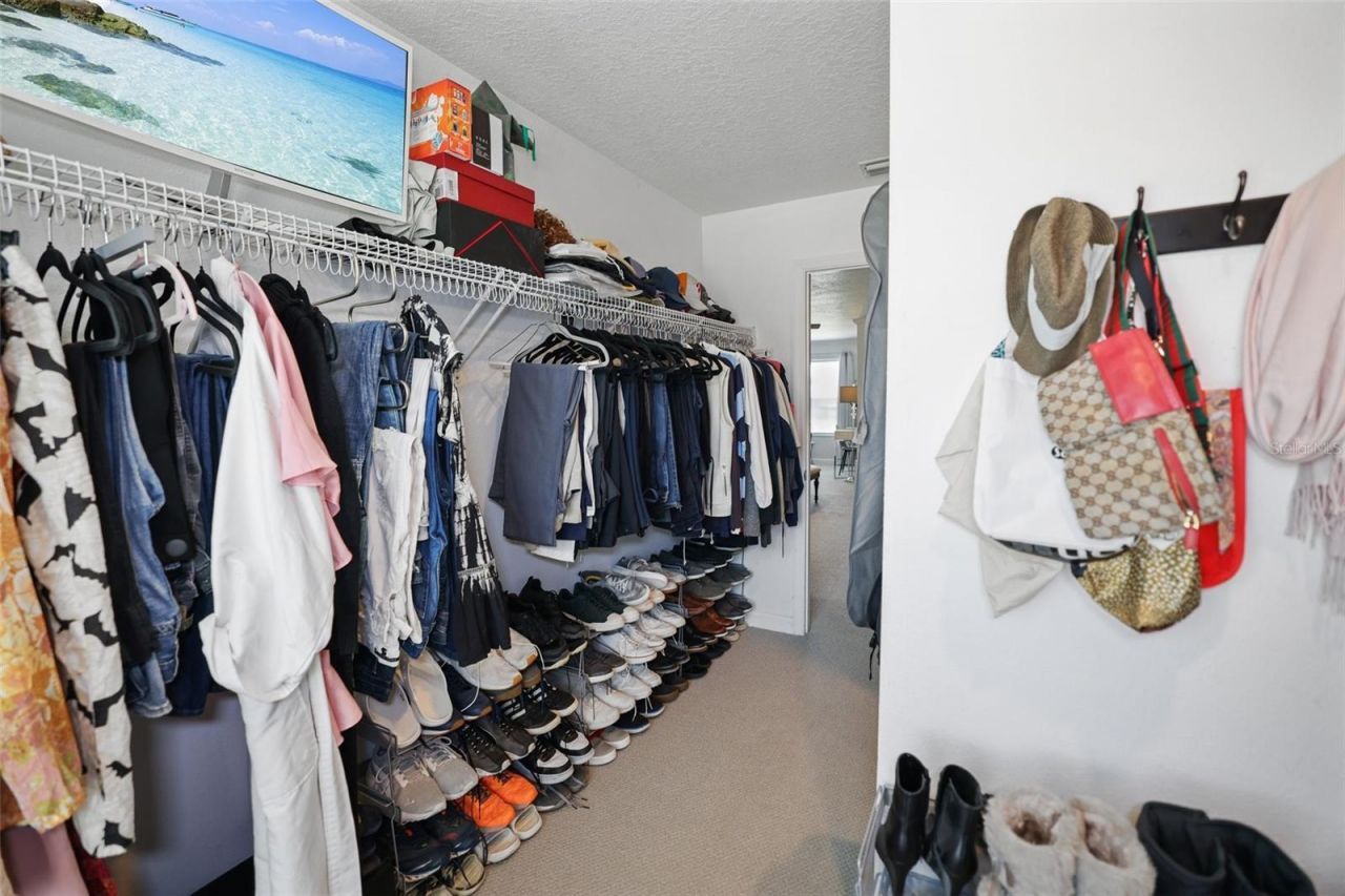 8524 Tidal Bay Lane, Tampa, FL 33635 Photo