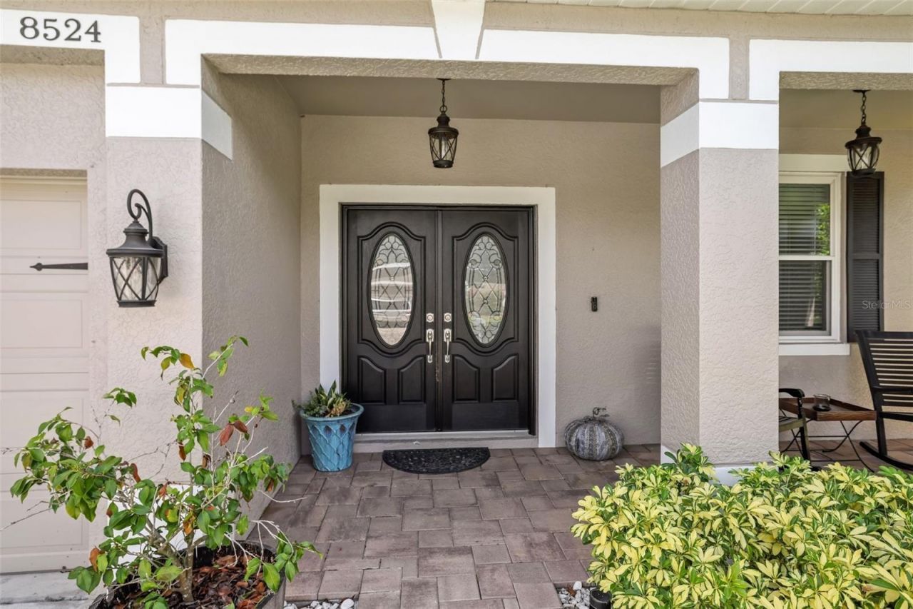 8524 Tidal Bay Lane, Tampa, FL 33635 Photo
