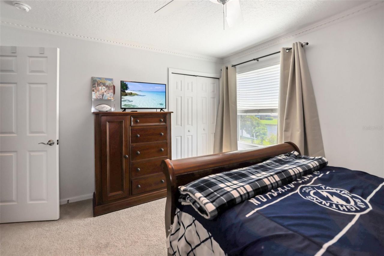 8524 Tidal Bay Lane, Tampa, FL 33635 Photo