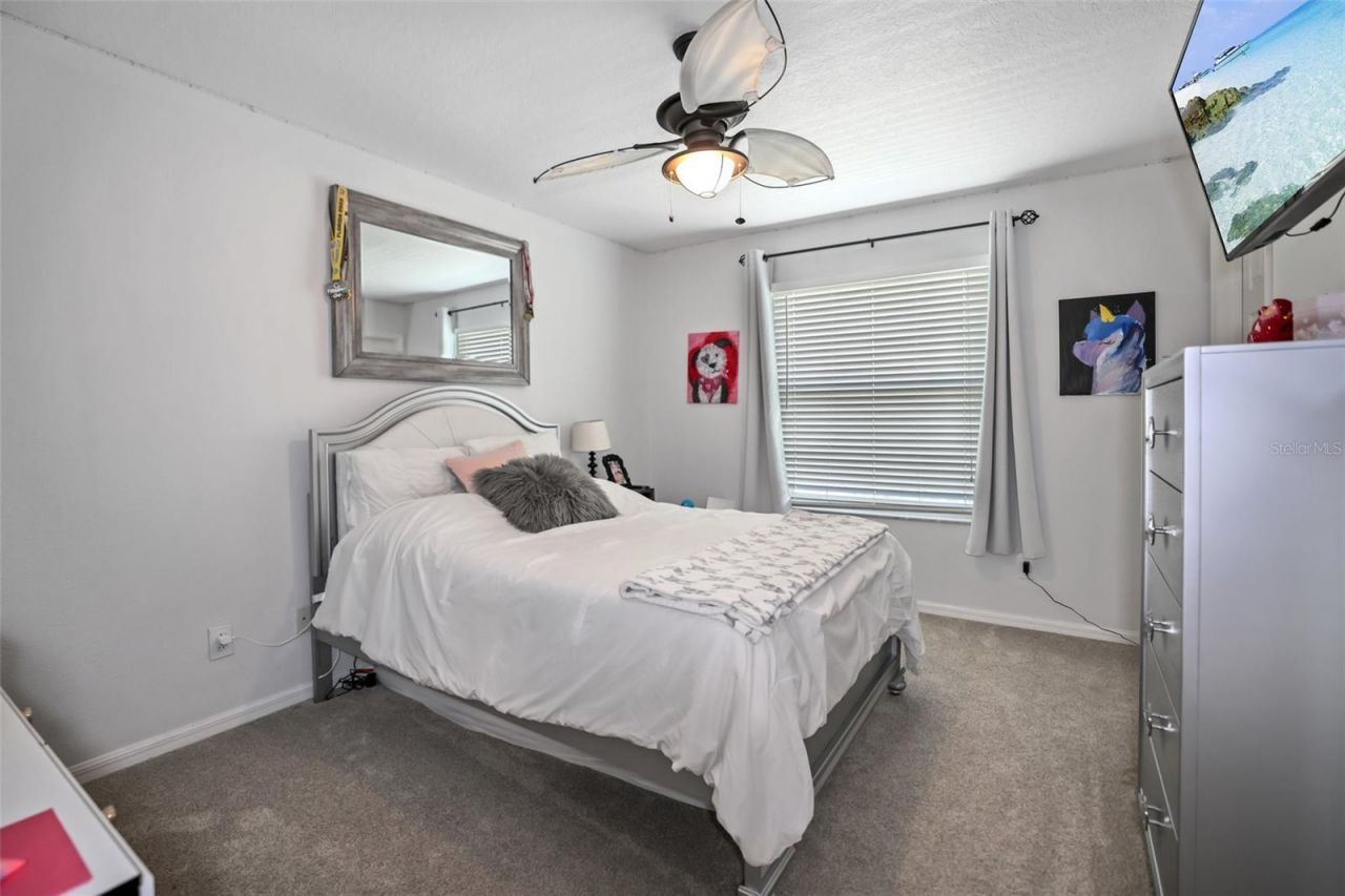 8524 Tidal Bay Lane, Tampa, FL 33635 Photo