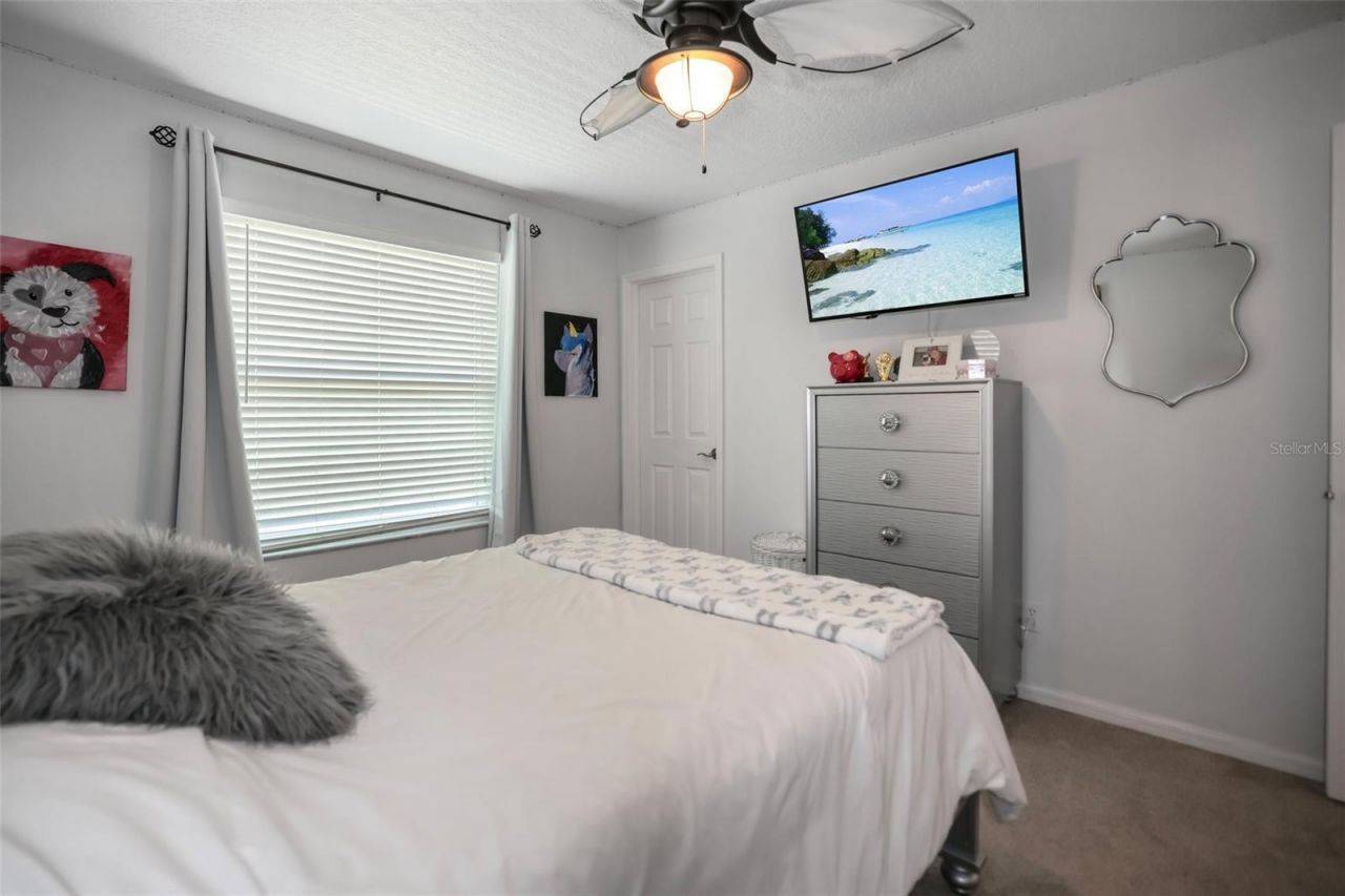 8524 Tidal Bay Lane, Tampa, FL 33635 Photo