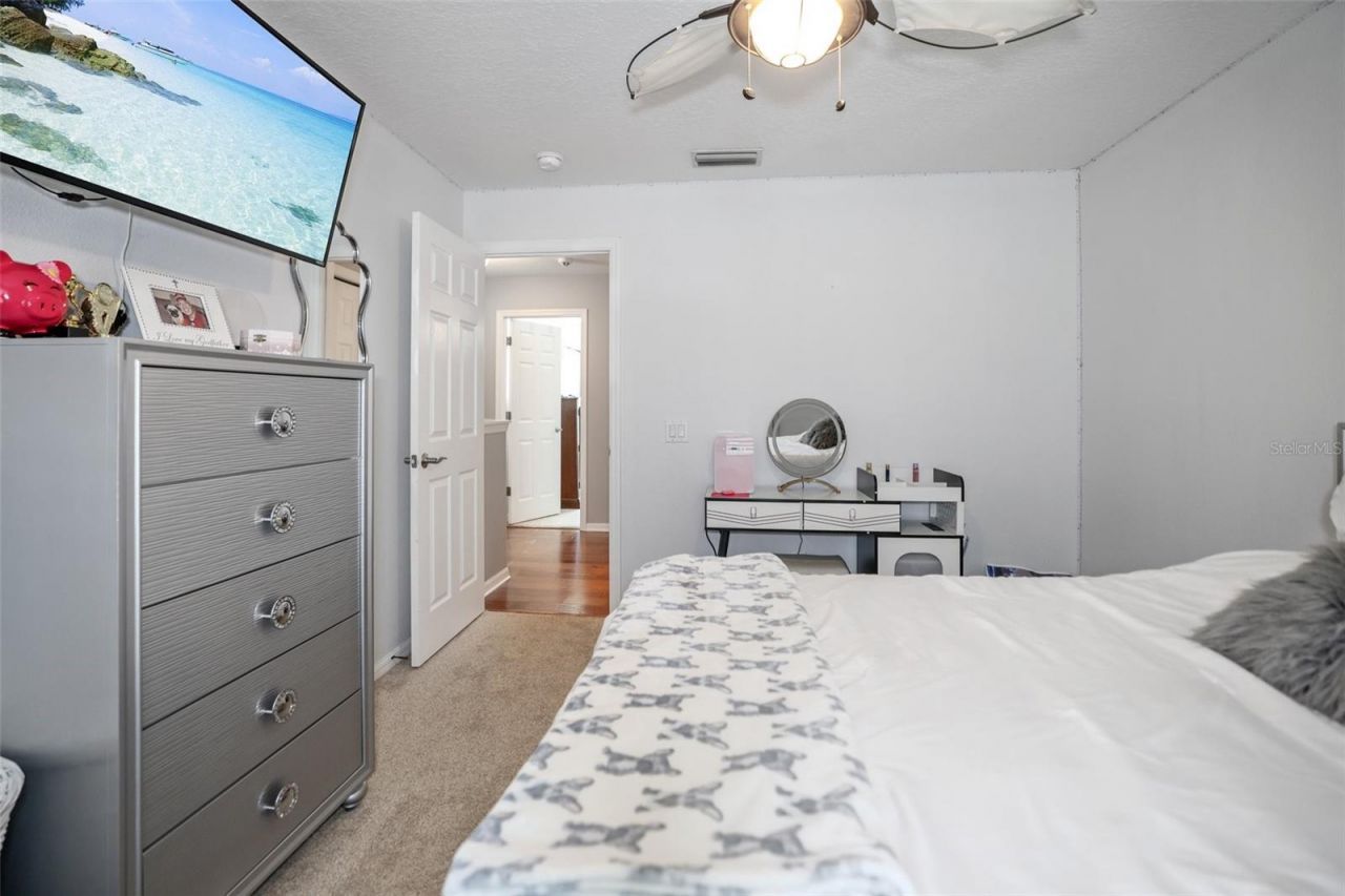 8524 Tidal Bay Lane, Tampa, FL 33635 Photo