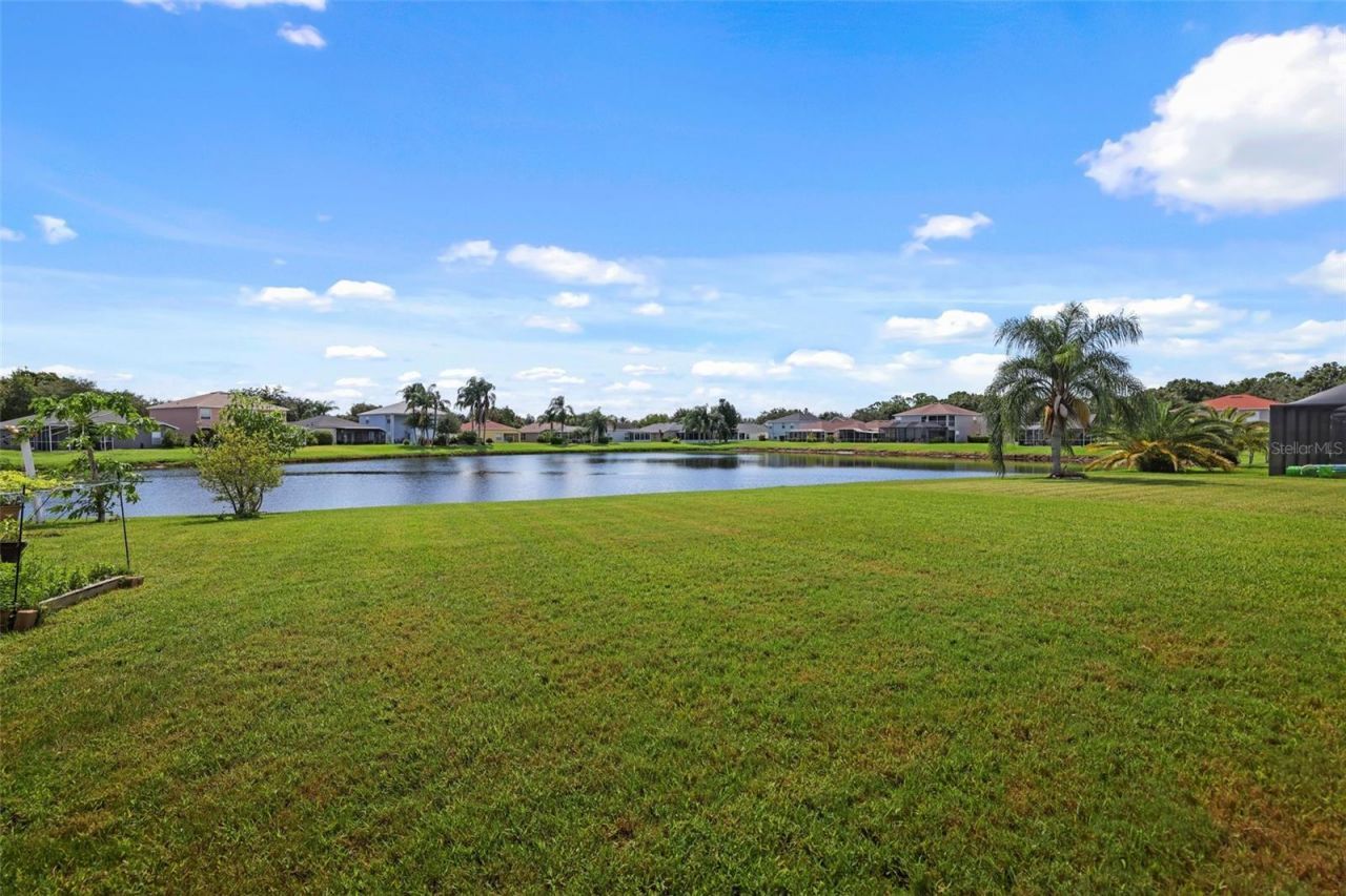 8524 Tidal Bay Lane, Tampa, FL 33635 Photo