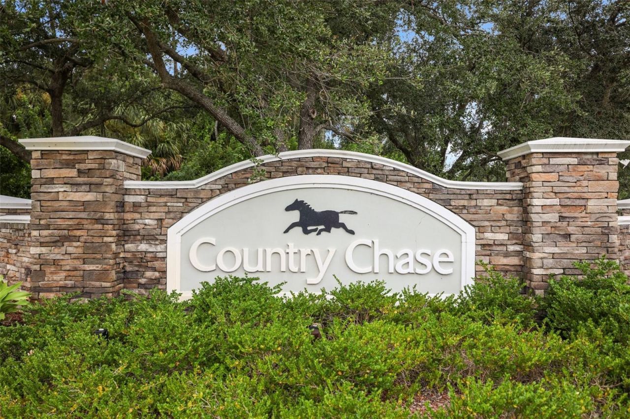 8524 Tidal Bay Lane, Tampa, FL 33635 Photo