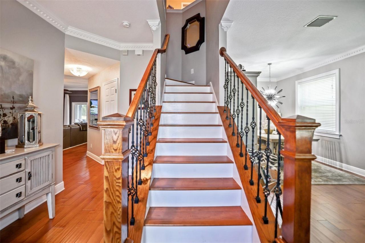 8524 Tidal Bay Lane, Tampa, FL 33635 Photo