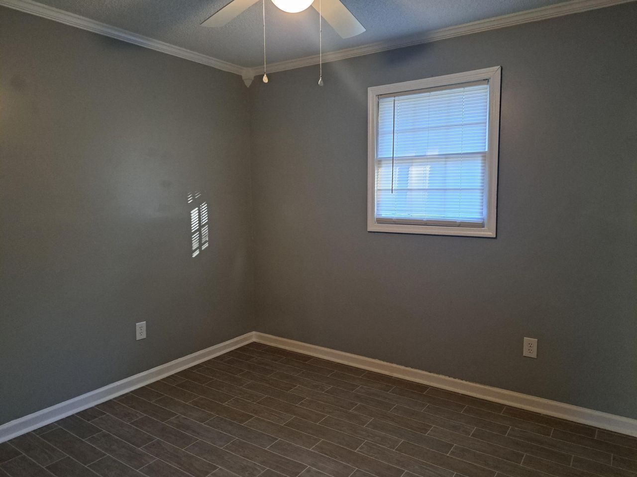 119 Town Hall Court Photo 14