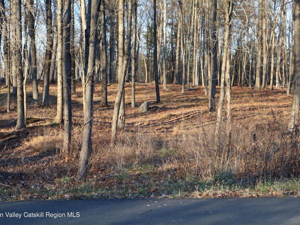 Tbd Hardenbergh , Rifton, NY 12471