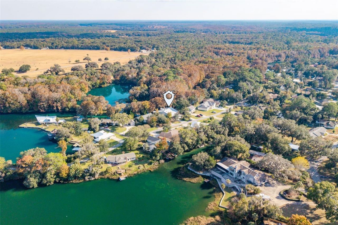 11685 E Blue Cove Drive, Dunnellon, FL 34432 Photo