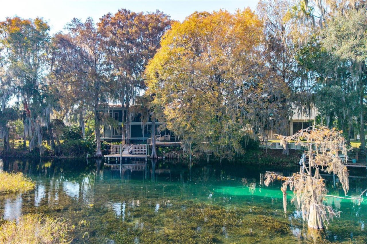 11685 E Blue Cove Drive, Dunnellon, FL 34432 Photo