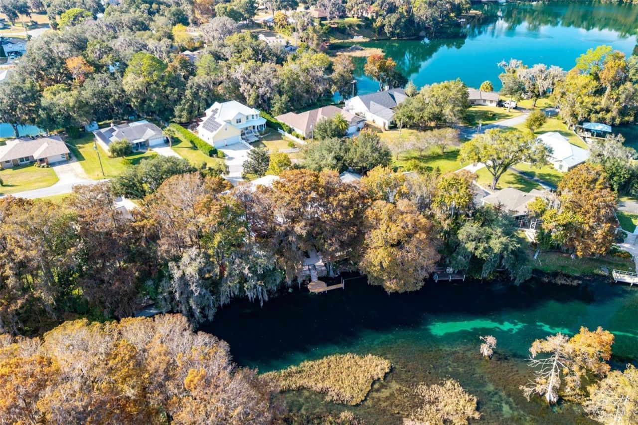 11685 E Blue Cove Drive, Dunnellon, FL 34432 Photo