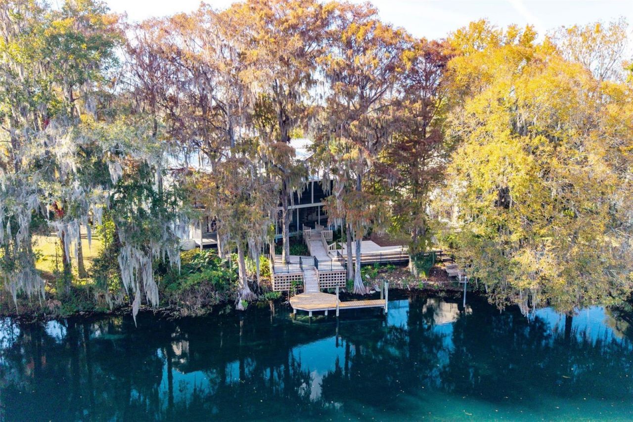 11685 E Blue Cove Drive, Dunnellon, FL 34432 Photo