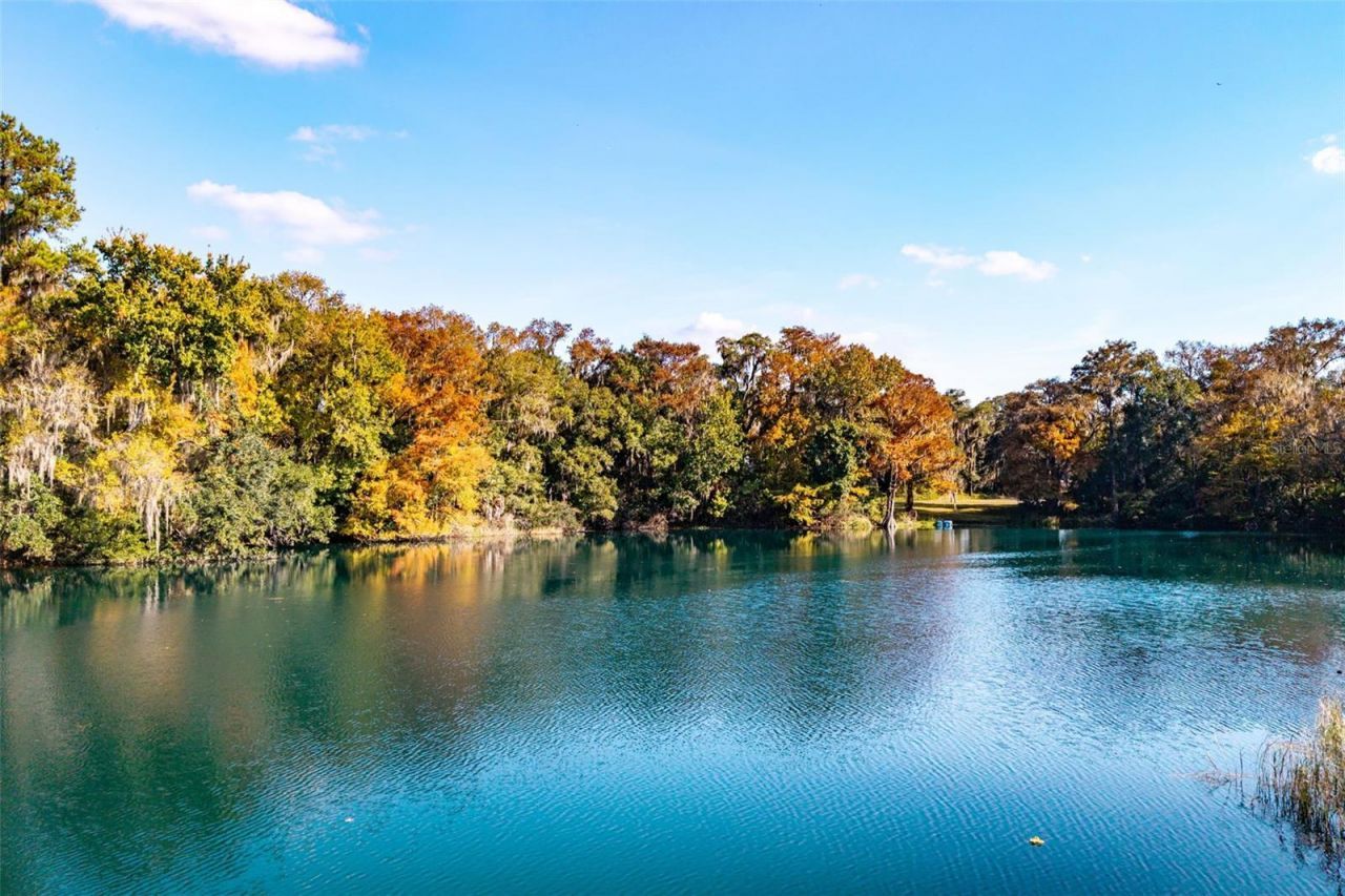 11685 E Blue Cove Drive, Dunnellon, FL 34432 Photo