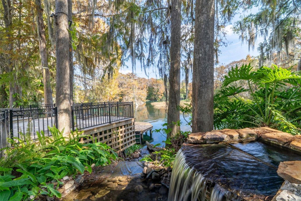 11685 E Blue Cove Drive, Dunnellon, FL 34432 Photo