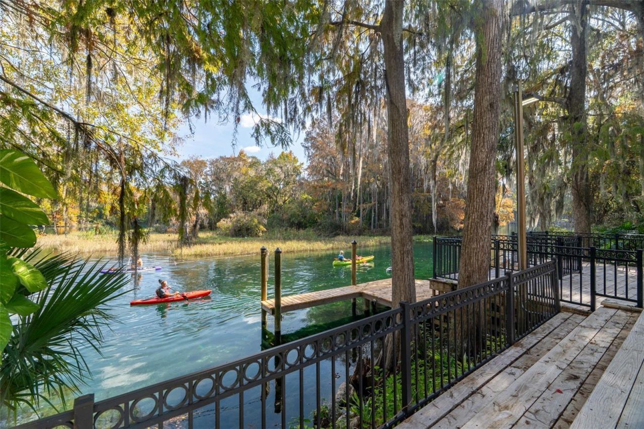 11685 E Blue Cove Drive, Dunnellon, FL 34432 Photo