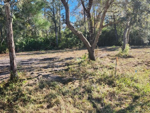 213 BREEZEWAY Avenue, Satsuma, FL 32189