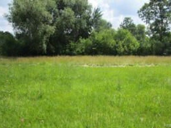 0 Detroit Street, Flint, MI 48505