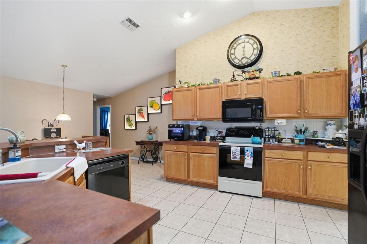 204 Planter Road, Spring Hill, FL 34606 Photo