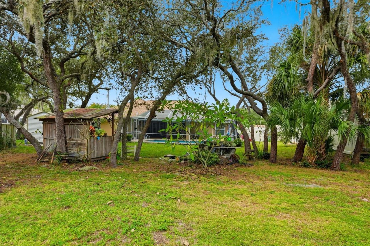 204 Planter Road, Spring Hill, FL 34606 Photo