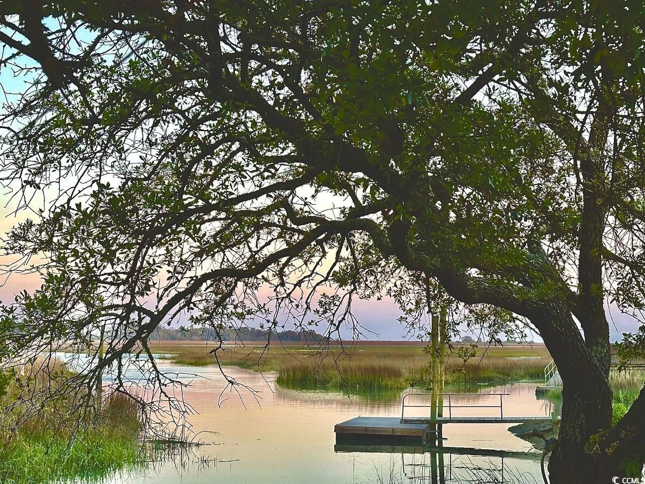 65 Northbrook Dr Photo 35