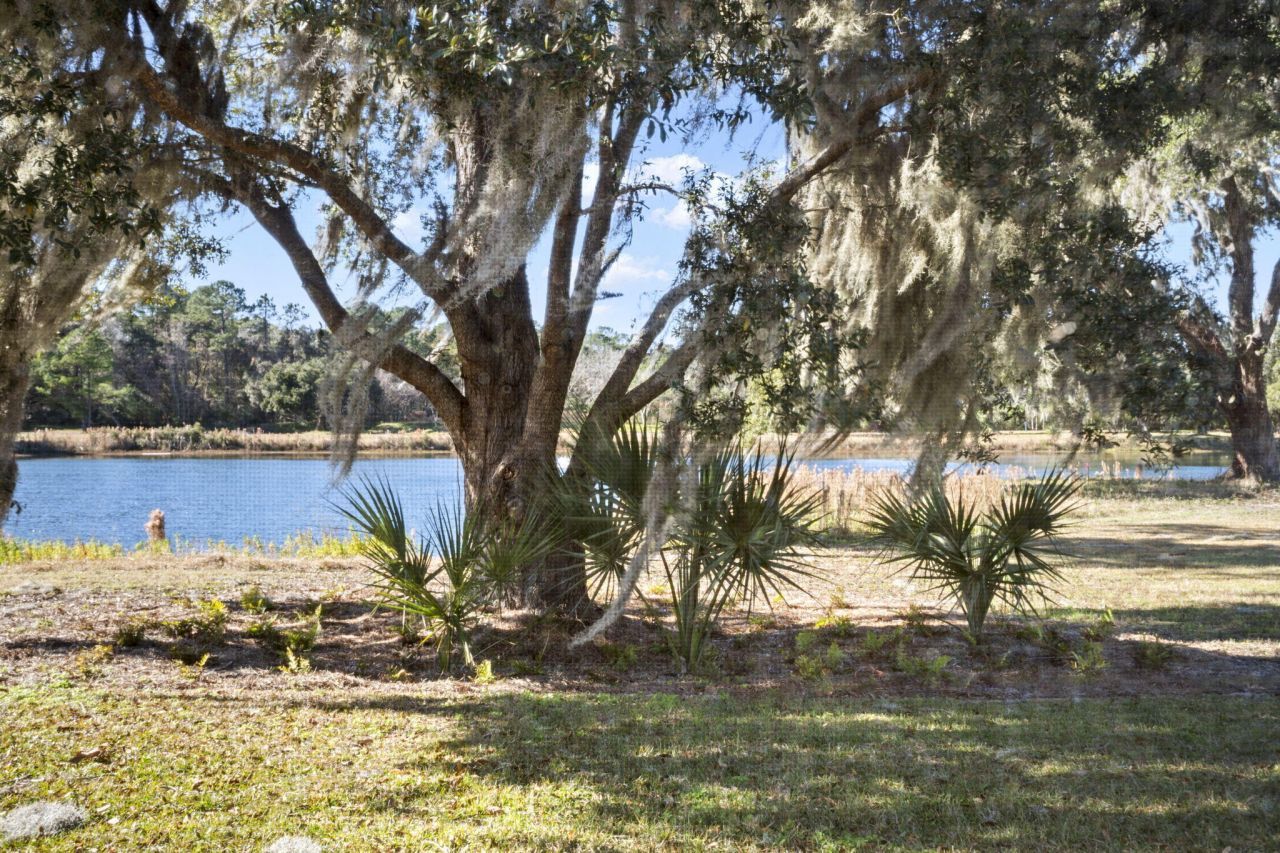 2988 Lodge Berry Lane Photo 5