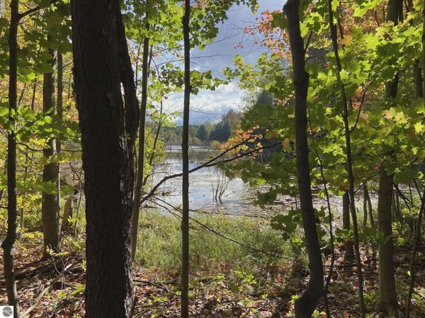 20047 Davis Lake Road, Traverse City, MI 49684