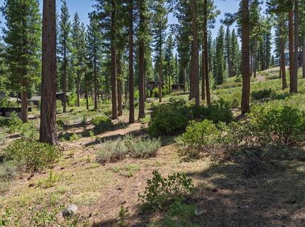 7024 Villandry Circle, Truckee, CA 96161 Photo