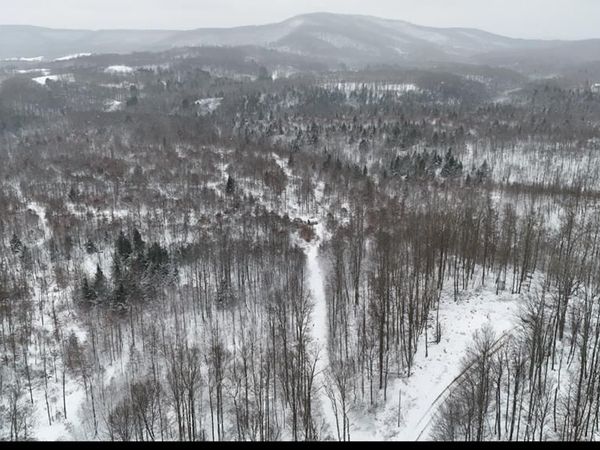 TRACK 14 Frazee Rdge Rd, Danese, WV 25831