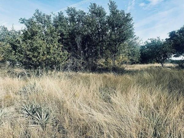 194 Willie B Drive , Brownwood, TX 76801