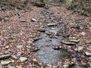 0 Parker Road, Campbell, NY 14821