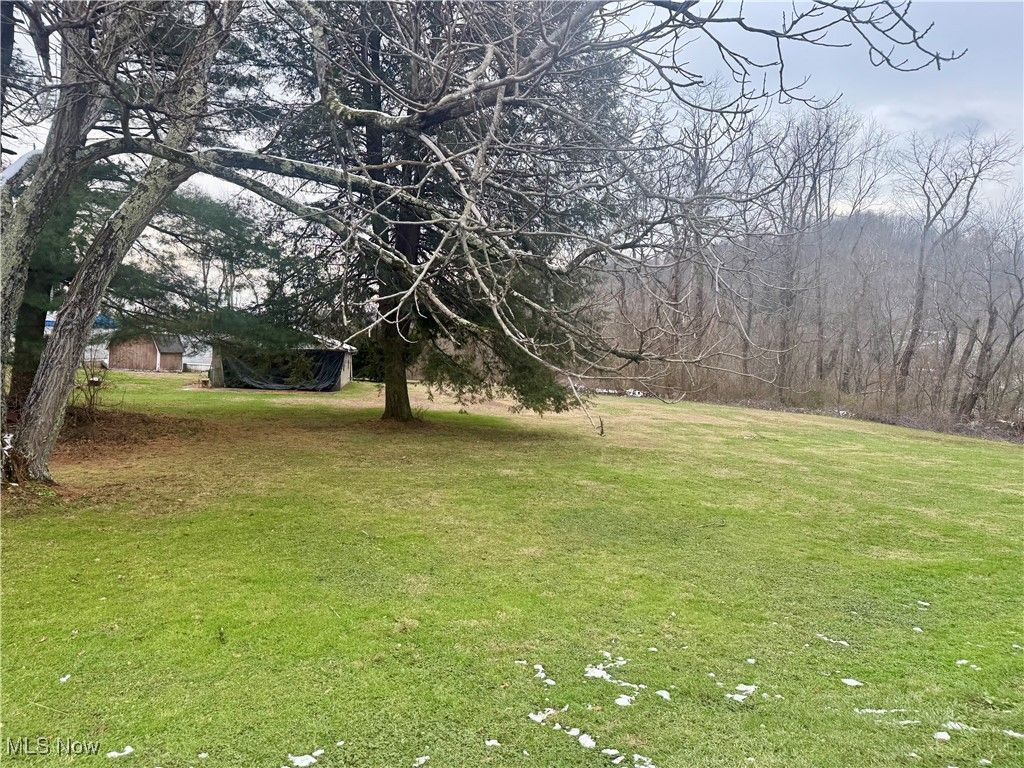 0 Wegee Lane, Shadyside, OH 43947 Main Photo