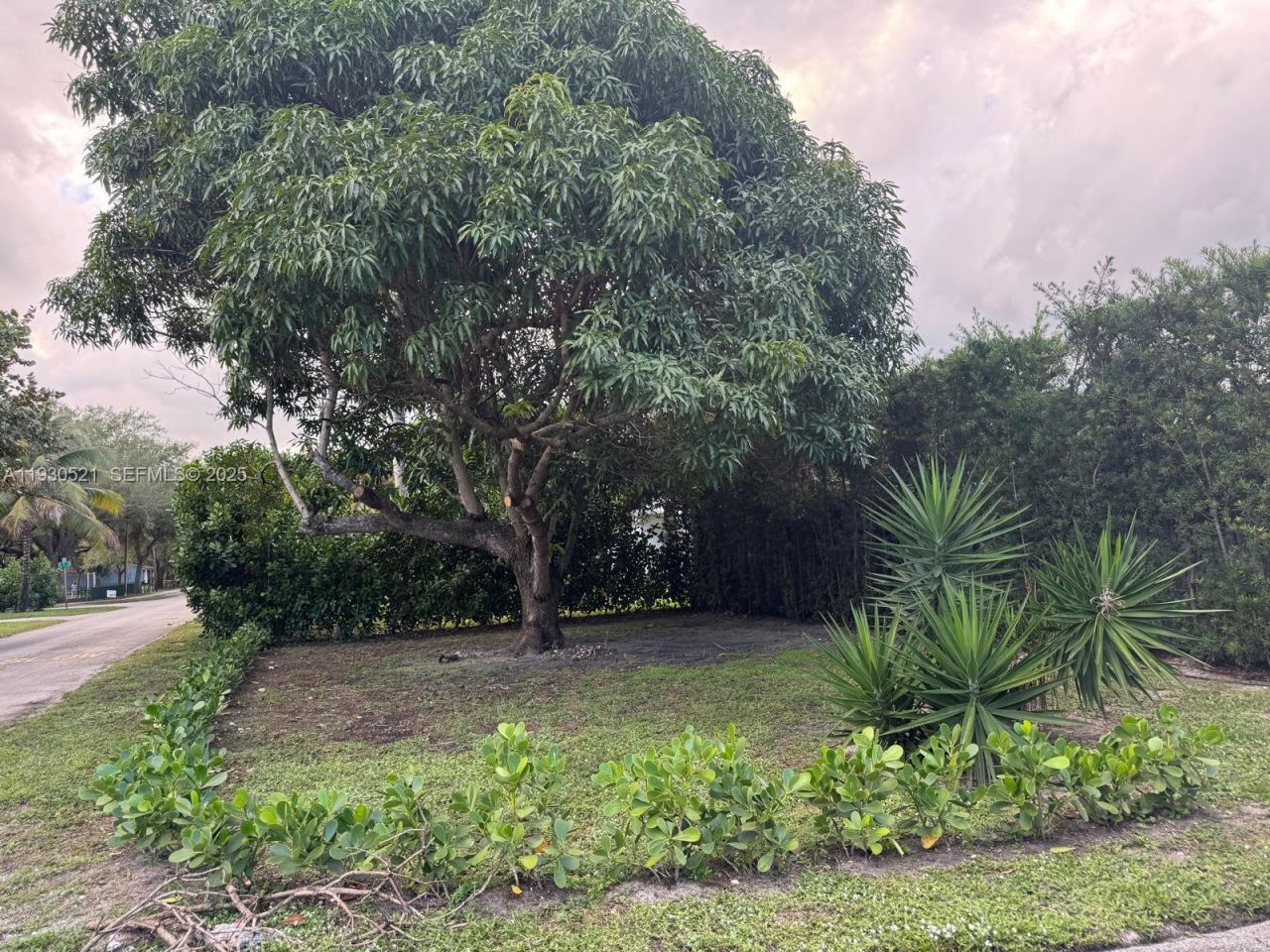 985 NE 115th St, Biscayne Park, FL 33161 Photo