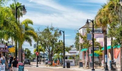 1952 Hillsong Terrace, Palm Harbor, FL 34684 Photo