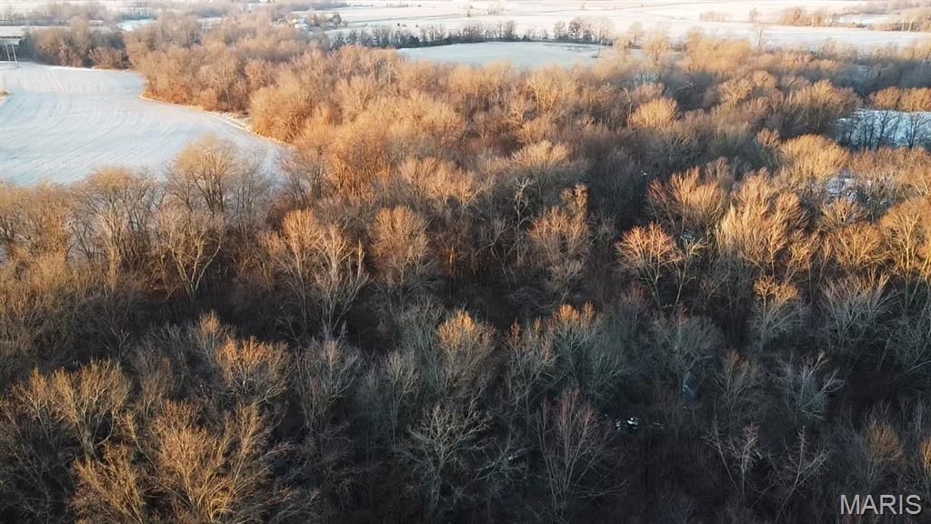 000 Hwy Cc Highway, Wellsville, MO 63384 Main Photo