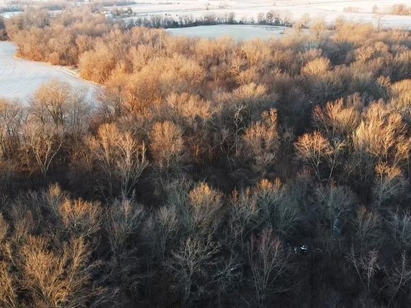 000 Hwy CC Highway, Wellsville, MO 63384