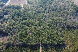 Tbd Jeffcoat Road photo 4